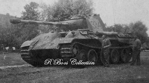 &quot;Das Reich&quot; Tiger S01 - Kursk July 1943