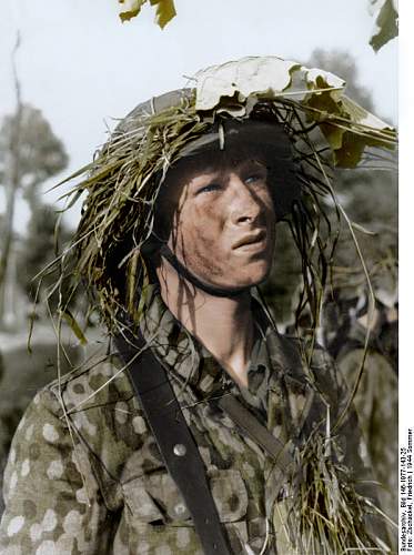 Waffen-SS Camouflage in period photos