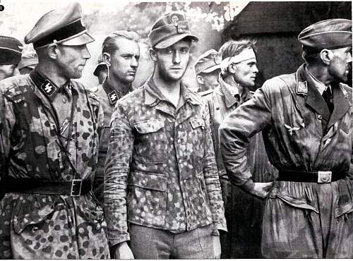 Waffen-SS Camouflage in period photos