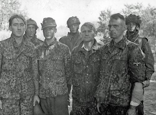 Waffen-SS Camouflage in period photos