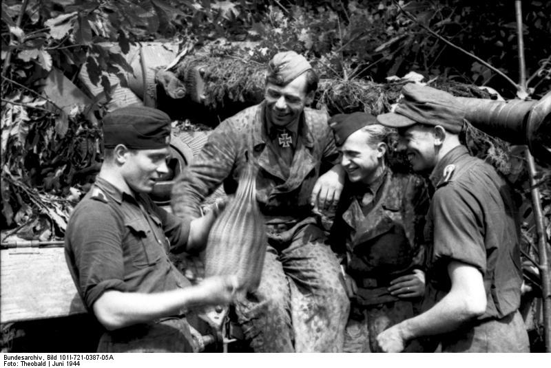 Waffen-SS Camouflage in period photos - Page 18