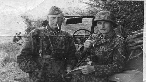 Waffen-SS Camouflage in period photos