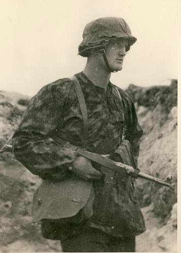 Waffen-SS Camouflage in period photos