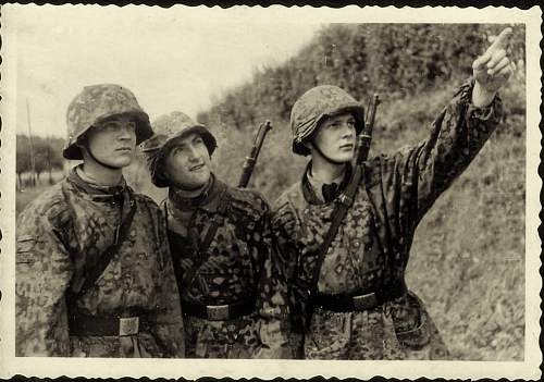 Waffen-SS Camouflage in period photos