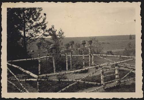 &quot;I once had a comrade&quot;. Photos of graves of German soldiers.