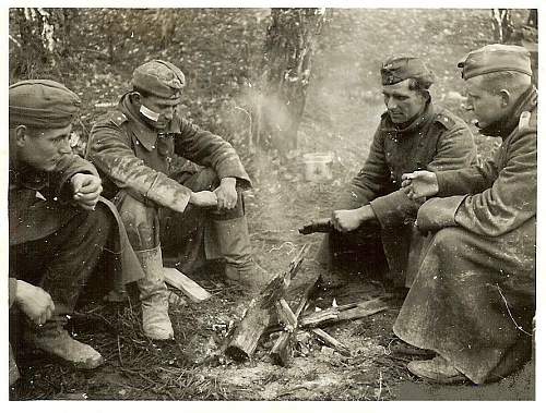 &quot;I once had a comrade&quot;. Photos of graves of German soldiers.