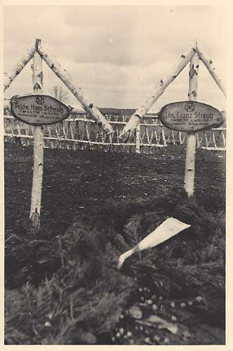 &quot;I once had a comrade&quot;. Photos of graves of German soldiers.