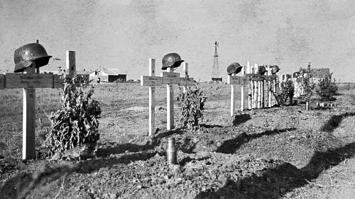 &quot;I once had a comrade&quot;. Photos of graves of German soldiers.