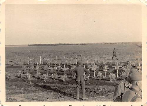 &quot;I once had a comrade&quot;. Photos of graves of German soldiers.