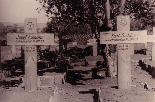 &quot;I once had a comrade&quot;. Photos of graves of German soldiers.