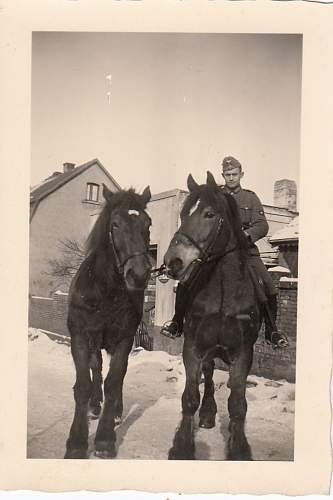 Advertisement. Photos of German soldiers with advertising signs.