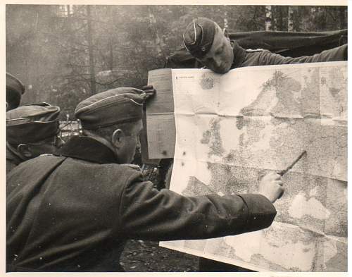 Forests, wood and bunkers.