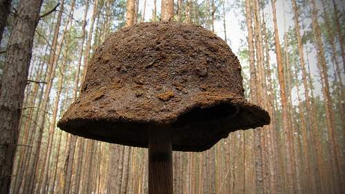 Forests, wood and bunkers.