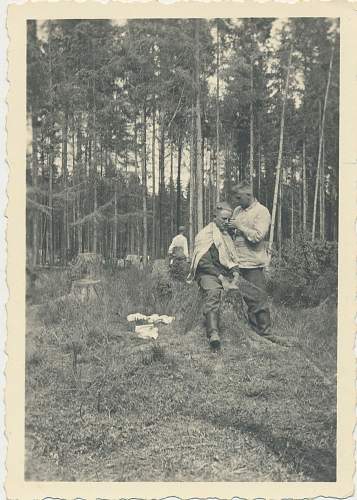 Forests, wood and bunkers.