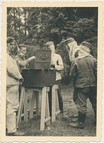 Forests, wood and bunkers.