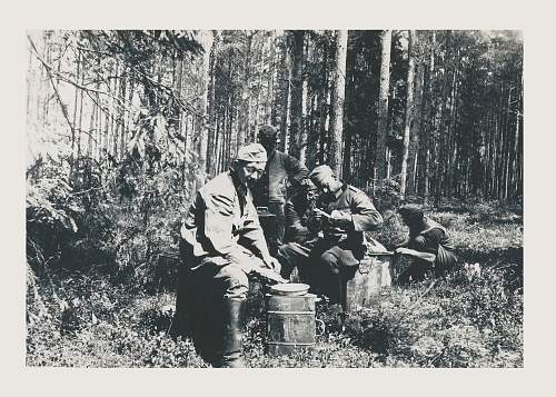 Forests, wood and bunkers.