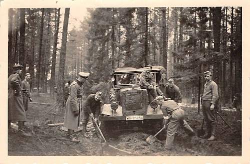 Forests, wood and bunkers.