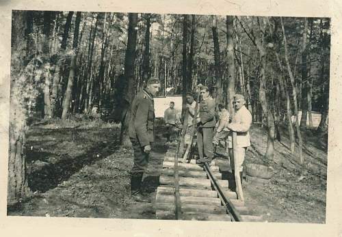 Forests, wood and bunkers.