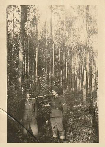 Forests, wood and bunkers.