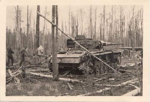 Forests, wood and bunkers.