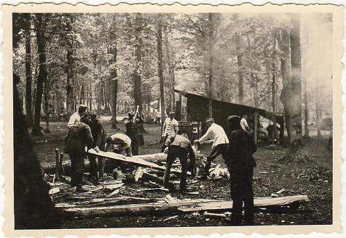 Forests, wood and bunkers.