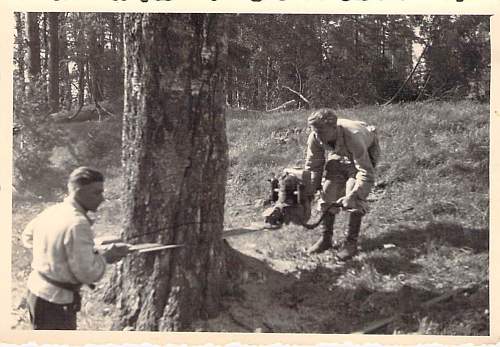 Forests, wood and bunkers.