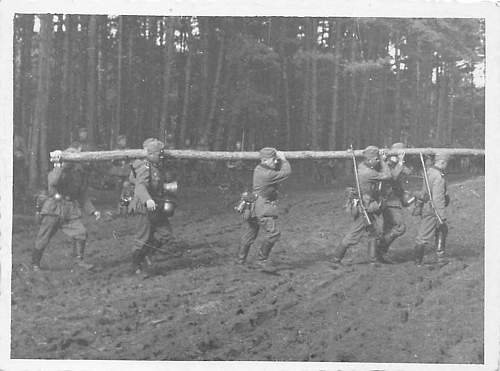 Forests, wood and bunkers.