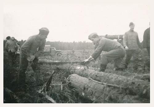 Forests, wood and bunkers.