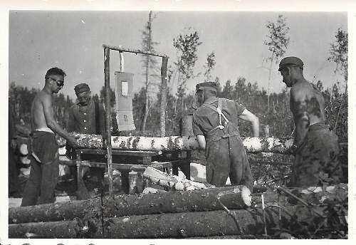 Forests, wood and bunkers.