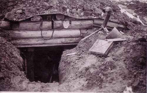 Forests, wood and bunkers.