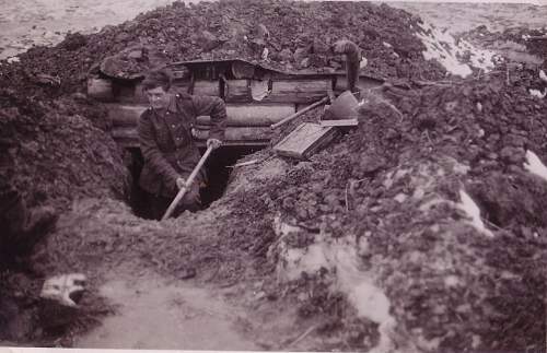 Forests, wood and bunkers.