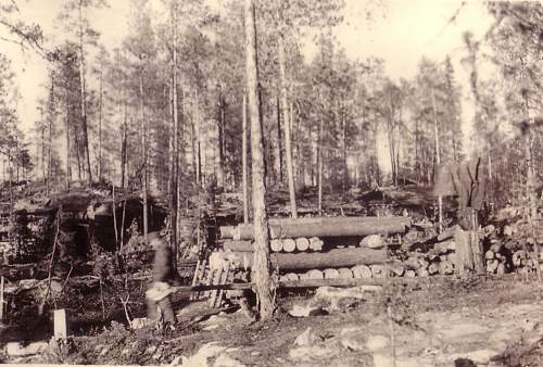 Forests, wood and bunkers.