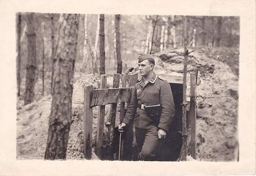 Forests, wood and bunkers.