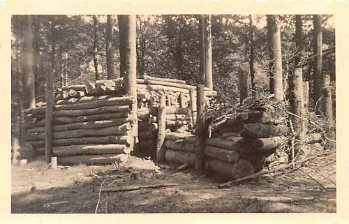 Forests, wood and bunkers.