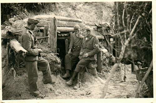 Forests, wood and bunkers.