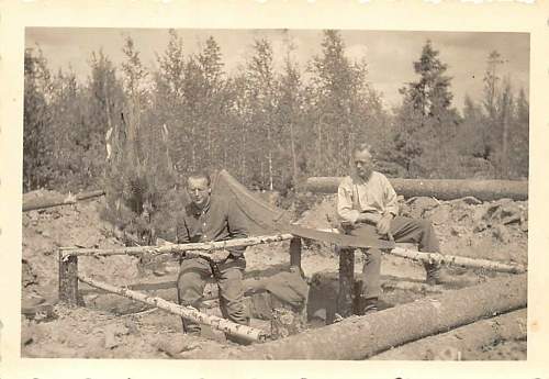 Forests, wood and bunkers.