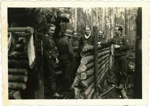 Forests, wood and bunkers.