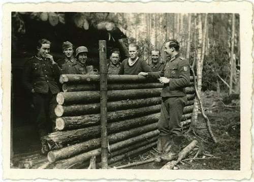 Forests, wood and bunkers.