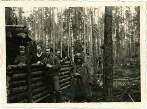 Forests, wood and bunkers.