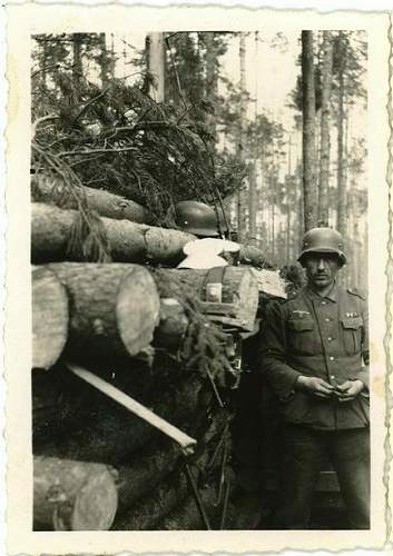 Forests, wood and bunkers.