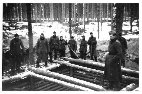 Forests, wood and bunkers.