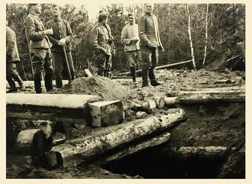 Forests, wood and bunkers.