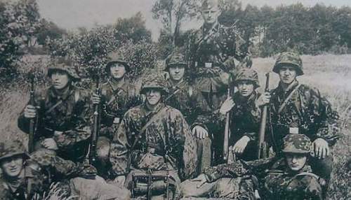 Waffen-SS Camouflage in period photos