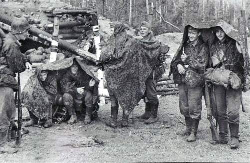 Waffen-SS Camouflage in period photos