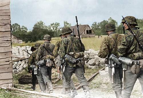 Waffen-SS Camouflage in period photos