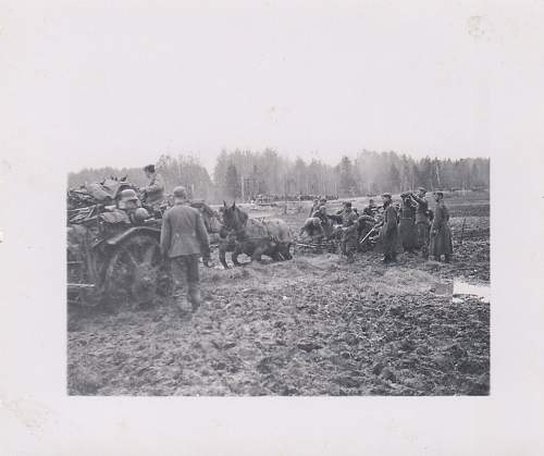 Photo album of a horse-drawn 105 battery in Barbarossa