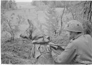 579 documents related to Gebirgs-Jäger-Regiment 206 found in a ventilation shaft in Hanko S. Finland