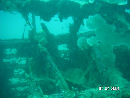 ME 109 wreck dive