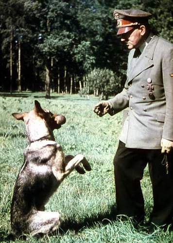 Hitler's dogs