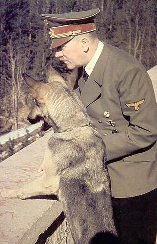 Hitler's dogs